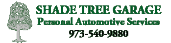 SHADE TREE GARAGE, INC